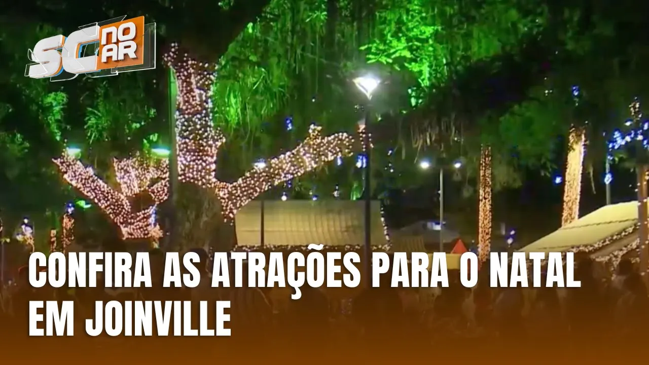Roda-gigante e Bosque de Neve: atrações imperdíveis do natal 2024 em Joinville