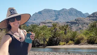 Agua? Verde. | Sailing Avocet