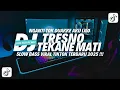 Download Lagu DJ TRESNO TEKANE MATI | NDX AKA | VIRAL TIKTOK TERBARU 2025