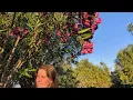 Val - Summertime Love (Premiere Teaser)