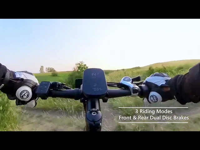 Gyrocopters Zeil Mountain E-Bike - 826W Peak Motor