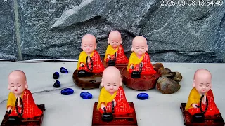 🔴Little Monk Wooden Fish 🪷 | Zen Meditation | Peaceful Real-Life Scenery - LIVE  Webcam