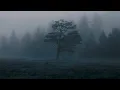 Hans Zimmer - Time (Soft Space Piano)