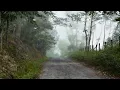 Soulty - Look Up (Official Music Video)