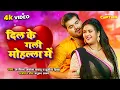 Download Lagu दिल के गली मोहल्ला में | 4k Video | Arvind Akela Kallu | Chandni Singh | Bhojpuri Song 2023
