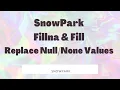 Day78 Snowpark fillna fill - Replace Values