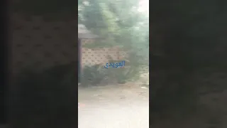 شاهد ماذا فعلت مشاجره بالاسلحه الناريه في البداري محافظه اسيوط 