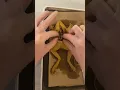 Frog Dissection Part 2