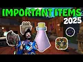 Important Items You NEED 2025