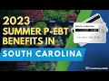 2023 Summer P-EBT in South Carolina Payment Update