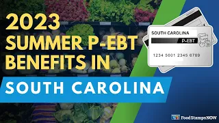 2023 Summer P-EBT in South Carolina Payment Update