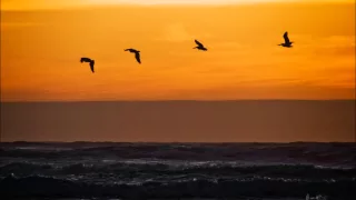 Julien Jabre War Eltonnick Reconstruction Remix 