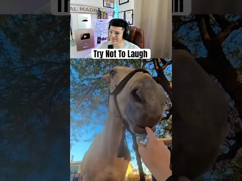Try Not To Laugh Challenge - Part 76 #shorts
