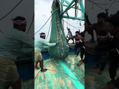 இழுவையில் பிடித்த எக்கச்சக்க மீன்கள்