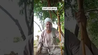 ابو مظهر واجب على الإنسان ما ينكرش الجميل مربعات صعيديه 
