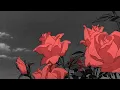 Download Lagu 13 Angels Standing Guard 'Round The Side Of Your Bed | Slowed + Reverb