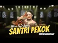 Download Lagu Niken Salindry - Santri Pekok - Campursari everywhere