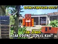 Download Lagu 300 Juta! Trik Agar Diesel 20kva Kuat Handle Sound ACR Faboulus Full Power Built up