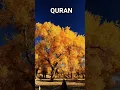 Download Lagu Surah Al Anfal|verses 1_5|#qurantranslation #viralshorts