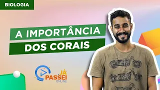 A importância dos corais