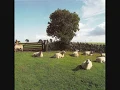 Download Lagu Chill Out - The KLF