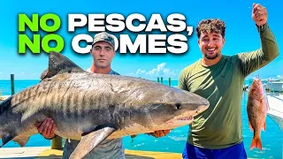 PESCAMOS un TIBURÓN (SURREALISTA) 🥵 NO PESCAS, NO COMES en MIAMI