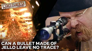 Can You Really Shoot Someone With Jello? (Asking For Science) | MythBusters