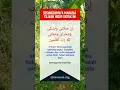 Download Lagu Sesungguhnya manusia tujuan hidup untuk ini #dakwah #dakwahislam #motivasi #karomah #cintaallah #fyp