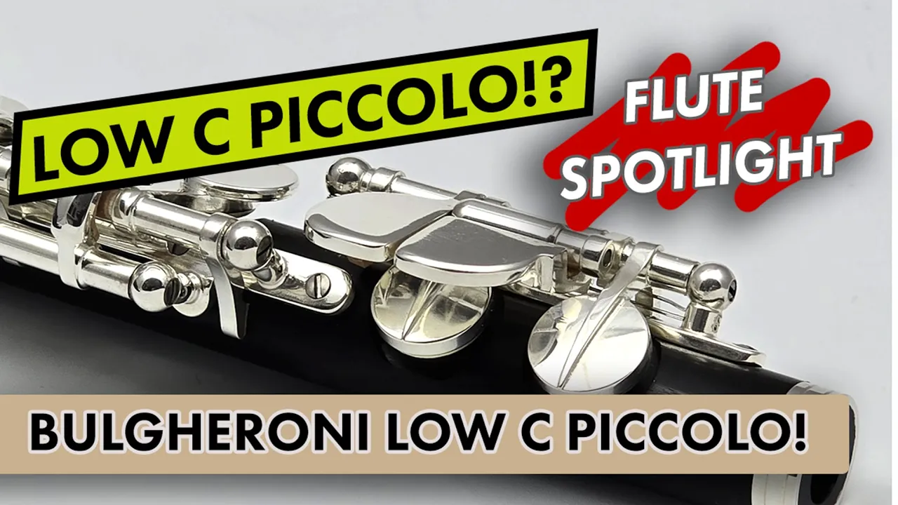 Bulgheroni 401R-LC Grenadilla Piccolo to Low C. Just Flutes, London
