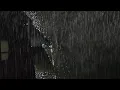 Download Lagu Intense onweersbui in het bos: regenval op het dak met rollende donder