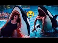 Download Lagu Jessica Radcliffe Orca Attack Video | The Real Jessica Radcliffe Show 🐋😱