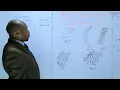 Using a Dichotomous Key - L31