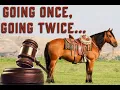 Don t Miss Out Horse Auctions Ending Soon at TheHorseBay com