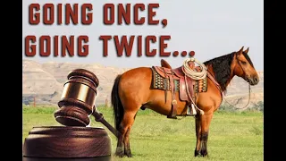Don t Miss Out Horse Auctions Ending Soon at TheHorseBay com