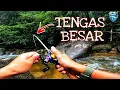 Download Lagu Santai Casting Ikan Tengas (malaysia small stream fishing ) #vlog123