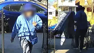 Woman Returns Home s Rug She Mistook for Craigslist Find