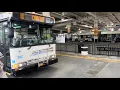 The Bee-Line System 2008 Orion V Suburban On Route 11 White Plains Transcenter