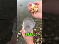 Download Lagu This Man Made Fish Trap from Pepsi   Bottle