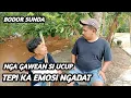 Lagu bodor sunda si ucup di gawean ku si kipli