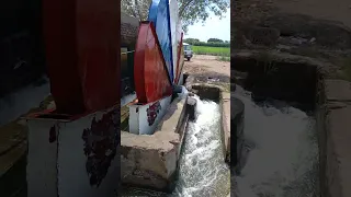 مواطن مصري ينجح في صناعه الساقيه الزراعيه بتروي الفدان في ساعه بطريقه ممتازه هزت العالم كله 