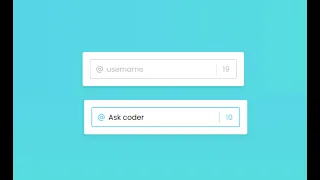 Limit Input Characters using HTML CSS JavaScript