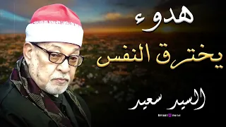 لحظات روحانية مع تلاوة مؤثرة من سورة النحل بصوت الشيخ السيد سعيد تجعلك تشعر بالسلام الداخلي  لحظات روحانية مع تلاوة مؤثرة من سورة النحل بصوت الشيخ السيد سعيد تجعلك تشعر بالسلام الداخلي