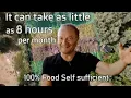 Download Lagu FollowUp with Alik Pelman (how to become food self sufficient on just 750m²)
