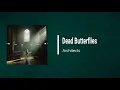 Architects - Dead Butterflies (Lyrics)