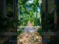 Download Lagu When the Earth Will Speak… Are You Ready? 🌍💔 | Surah Az-Zalzalah with Translation سورۃ زلزال