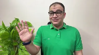 القلاوي كشف ولاد رويز لعبة بيراميدز قبل الاهلي سكريبت واتس الزمالك انفتاح تجديد امام مفاجاة الاجانب دندنها