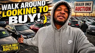 Walking the Dealer Auction Looking for CHEAP Cars
