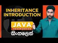 Java Tutorial - 23 Java Inheritance Introduction Sinhala