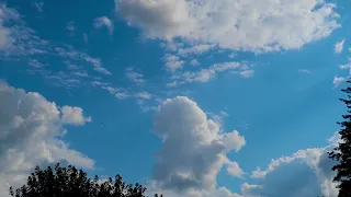 Leon Thomas Vibes Don T Lie Slowed Extended Ending 