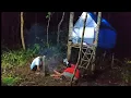 Download Lagu Camping membangun shelter di tengah hutan, berburu ikan gabus babon \u0026 tidur nyenyak sampai pagi 